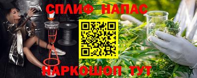 прущие грибы Аргун