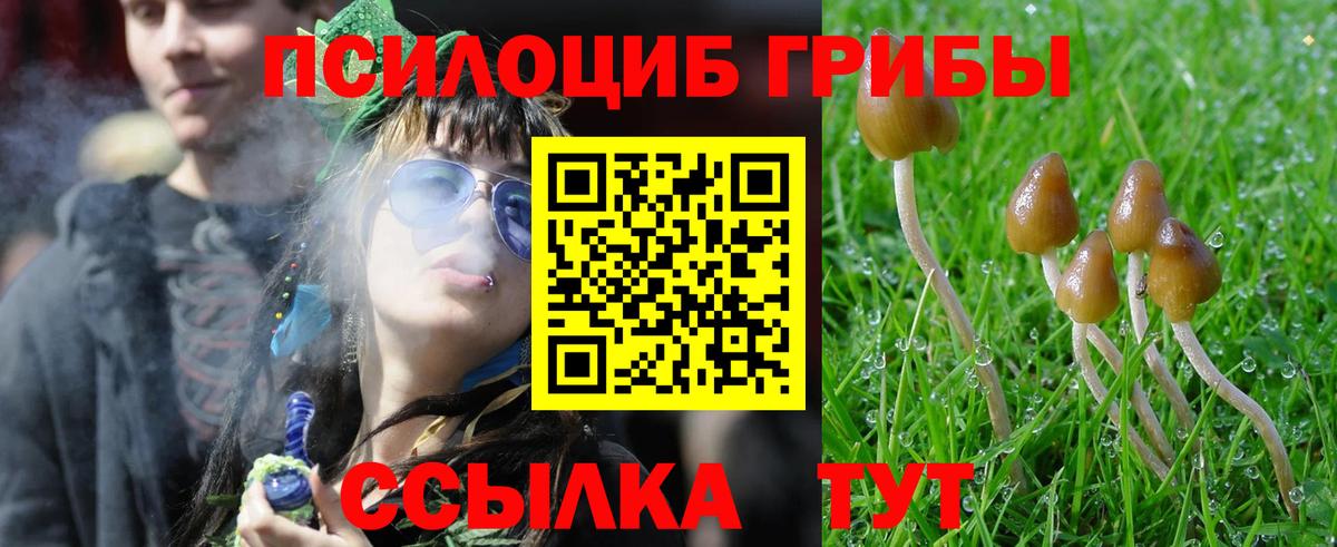 Псилоцибиновые грибы ЛСД  Вход с VPN  Волгодонск 